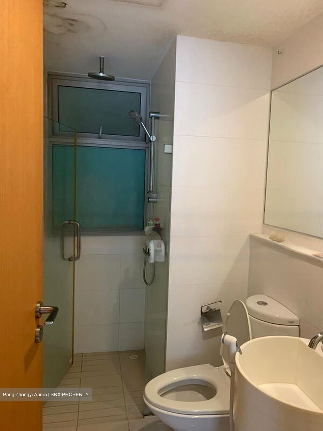 The Quartz (D19), Condominium #609660441